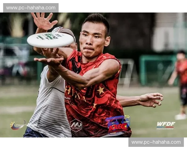 飞盘转会：让每一次传球都改变人生