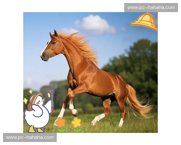 温顿的优雅对抗荷兰的风情：一场跨越时空的文化碰撞